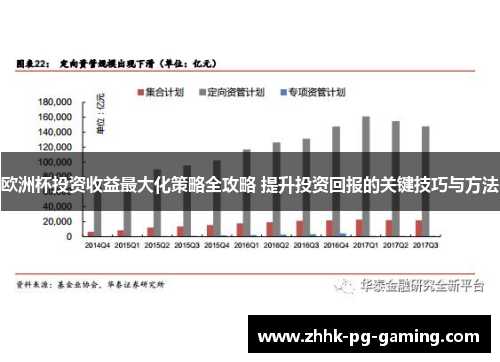 欧洲杯投资收益最大化策略全攻略 提升投资回报的关键技巧与方法